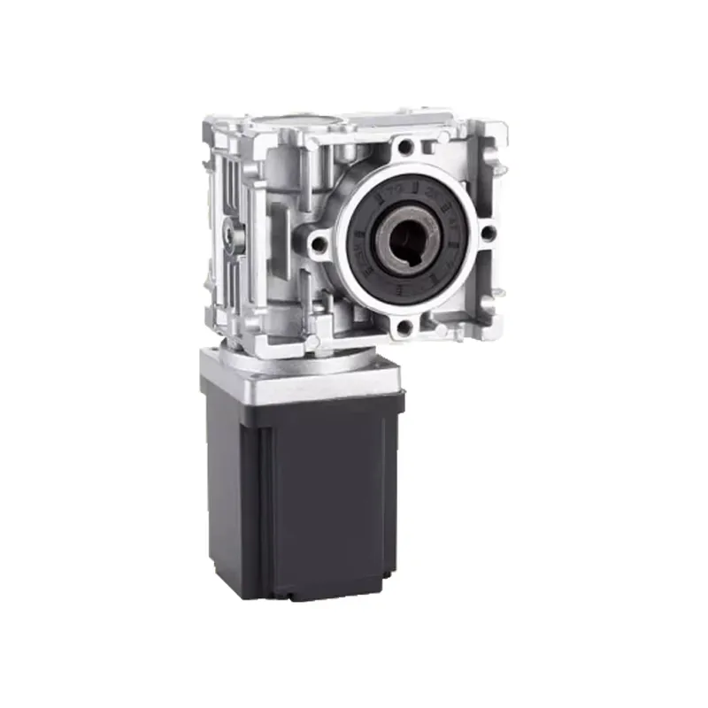 80mm BLDC Worm Gear Motor 12V  - Bldc Planetary Gear Motor 48V High Torque recension och pris